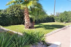 Realizzazione giardini residenziali